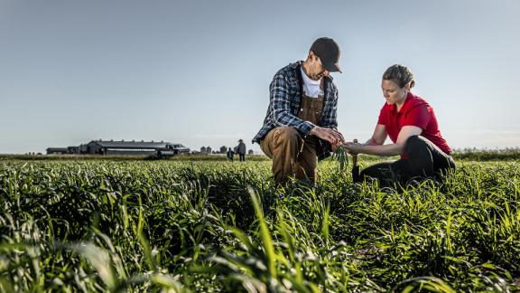 Farmer and agronomist in a field